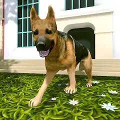 Download Dog Simulator Pet Dog Games [MOD, Unlimited money/gems] + Hack [MOD, Menu] for Android