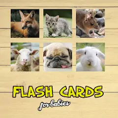 Download Flash Cards [MOD, Unlimited money/coins] + Hack [MOD, Menu] for Android