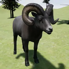 Happy Bighorn Sheep Simulator
