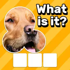 Download Zoom Quiz: Close Up Pics Game [MOD, Unlimited money/gems] + Hack [MOD, Menu] for Android