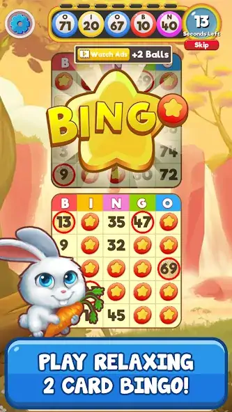 Download Bingo: Free the Pets [MOD, Unlimited money/gems] + Hack [MOD, Menu] for Android