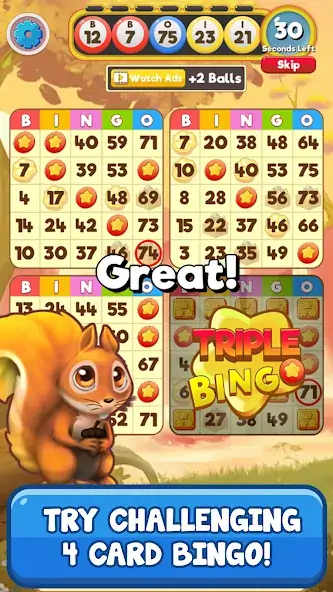 Download Bingo: Free the Pets [MOD, Unlimited money/gems] + Hack [MOD, Menu] for Android