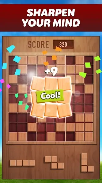 Download Woody 99 - Sudoku Block Puzzle [MOD, Unlimited coins] + Hack [MOD, Menu] for Android