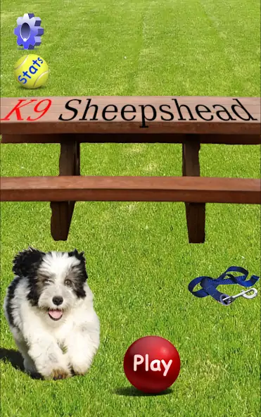 Download K9 Sheepshead (Schafkopf) [MOD, Unlimited money/gems] + Hack [MOD, Menu] for Android