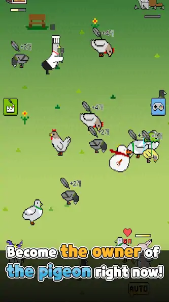 Download Pigeon Raising [MOD, Unlimited money/coins] + Hack [MOD, Menu] for Android