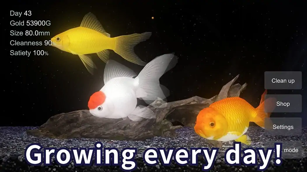 Download Goldfish 3D Relaxing Aquarium [MOD, Unlimited money] + Hack [MOD, Menu] for Android