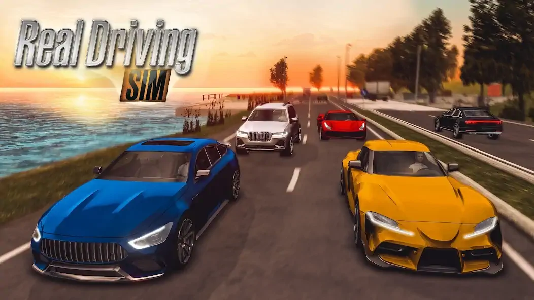 Download Real Driving Simulator [MOD, Unlimited coins] + Hack [MOD, Menu] for Android