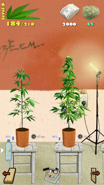 Download Weed Firm: RePlanted [MOD, Unlimited money] + Hack [MOD, Menu] for Android