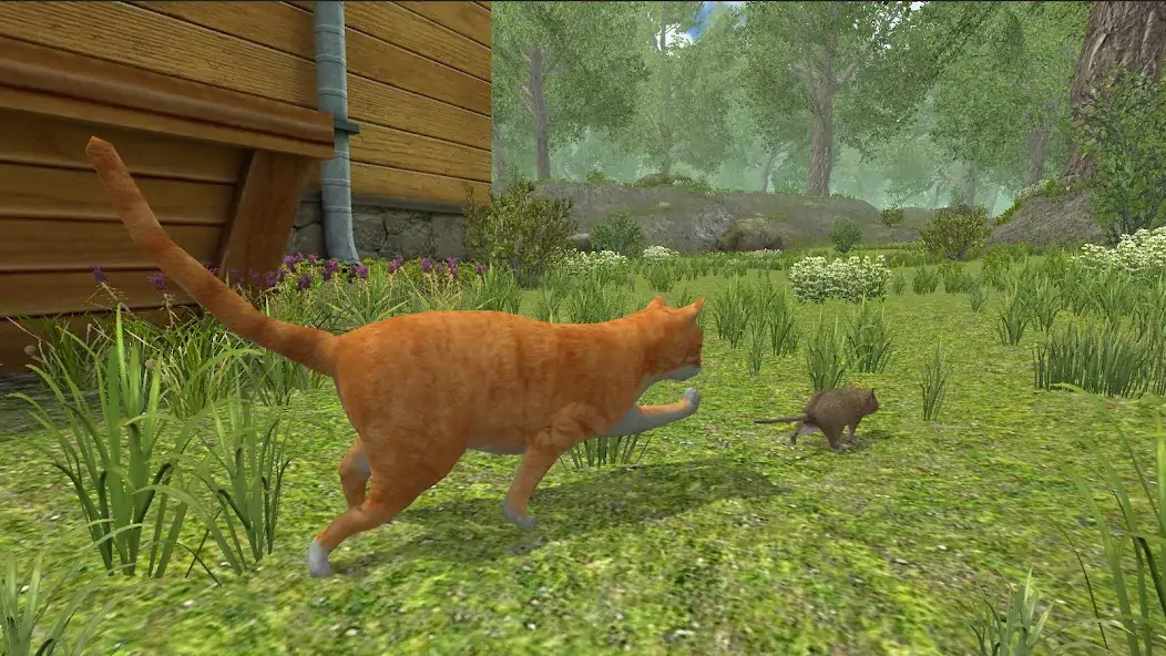 Download Mouse Simulator : Forest Home [MOD, Unlimited money] + Hack [MOD, Menu] for Android