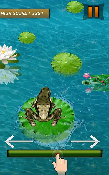 Download Frog Jumping Mania [MOD, Unlimited money/gems] + Hack [MOD, Menu] for Android