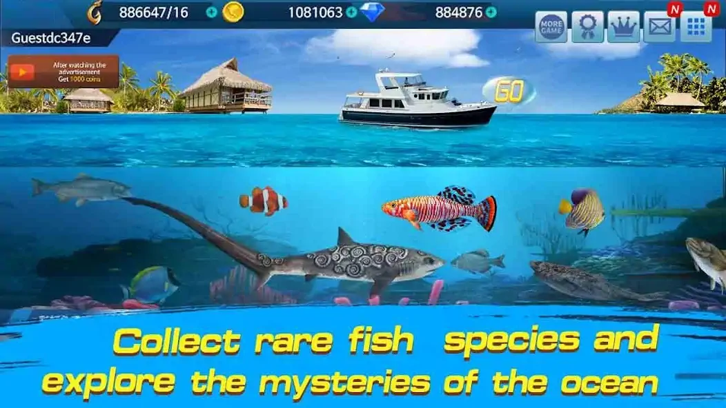 Download Fishing Championship [MOD, Unlimited money] + Hack [MOD, Menu] for Android