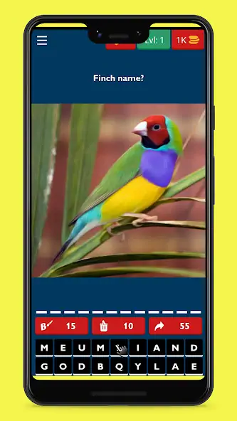 Download Bird Guess Fun Feather Trivia [MOD, Unlimited money/gems] + Hack [MOD, Menu] for Android