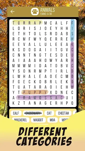 Download Word Search 2023 [MOD, Unlimited money] + Hack [MOD, Menu] for Android